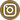 Instagran Icon Button